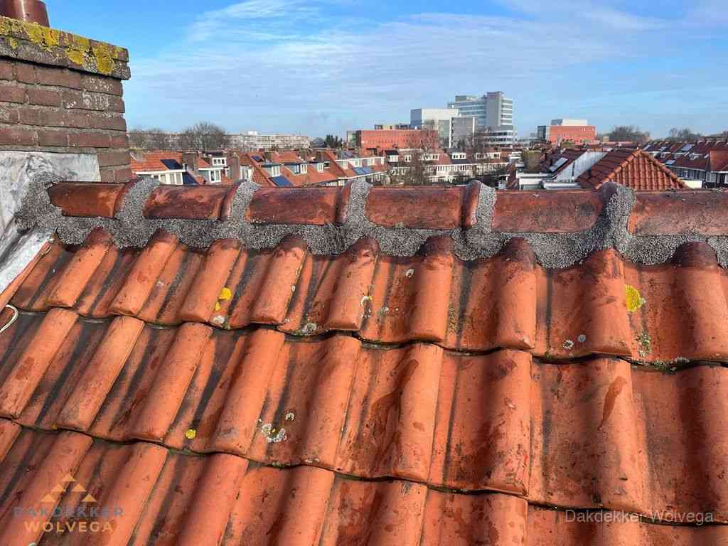 Wolvega Daken Renoveren Wolvega Daken Renoveren